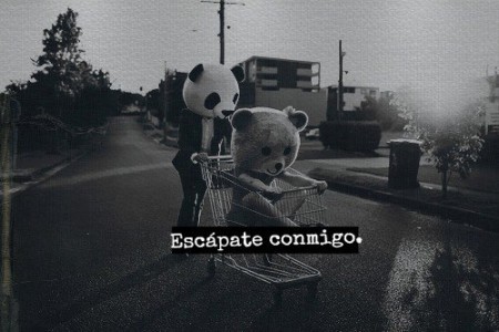 de imádom a pandákat:)