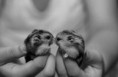 /album/fenykepgaleria/tumblr-lxr4v6pckb1qmwbovo1-500-large-jpg/